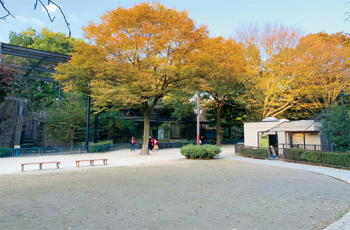 稲毛海浜公園